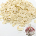 Chinese Agricultural Product Dried Garlic Slices